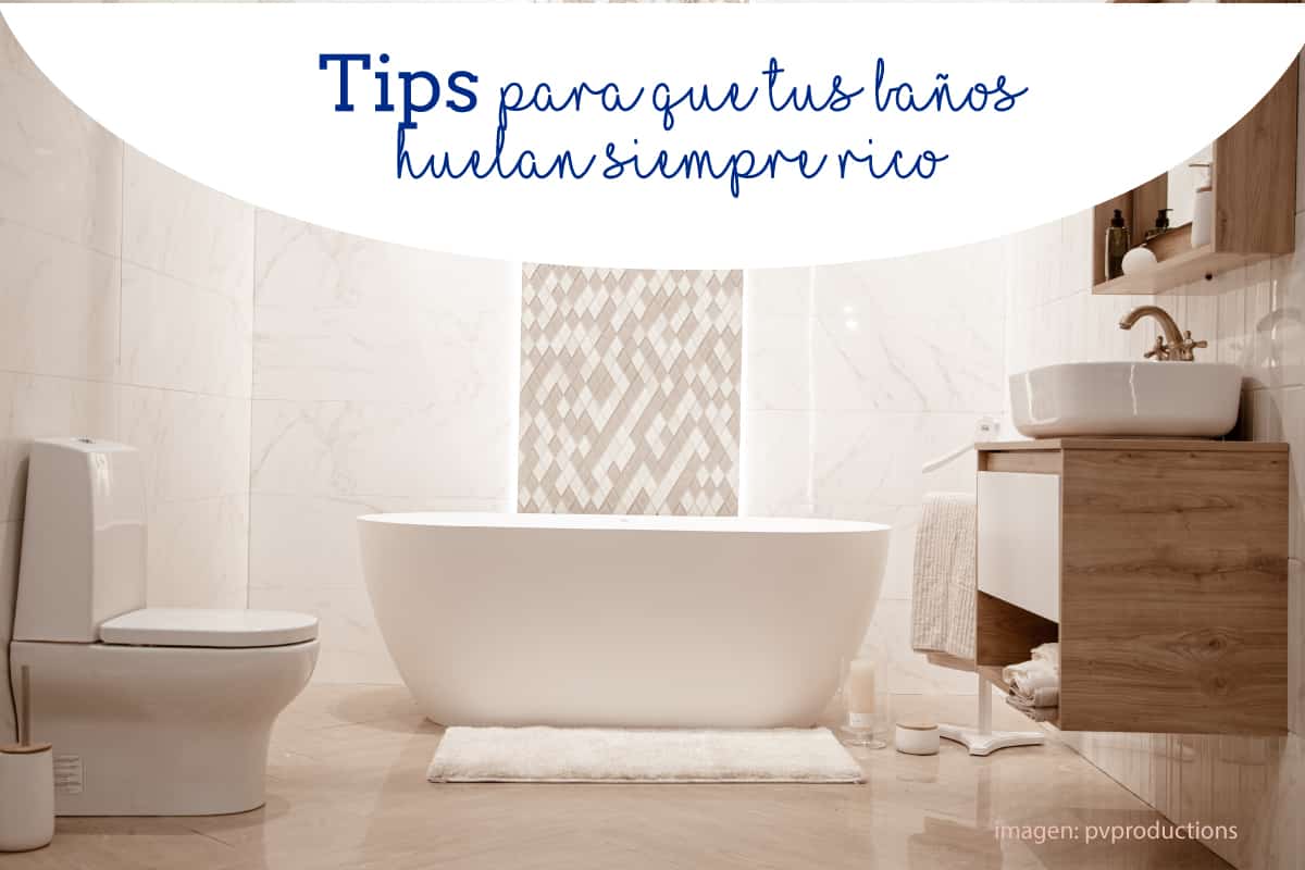 Tips para que tus baños huelan siempre rico